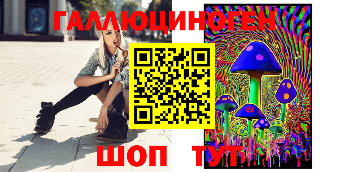Псилоцибиновые грибы Psilocybine cubensis  Вход с VPN  Шали  Псилоцибиновые грибы Psilocybe 